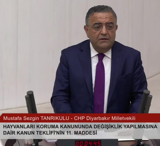 Sezgin Tanrıkulu: Canlılar konusunda uzlaşabilirdik, beceremedik ve bir kutuplaşmaya alet olduk