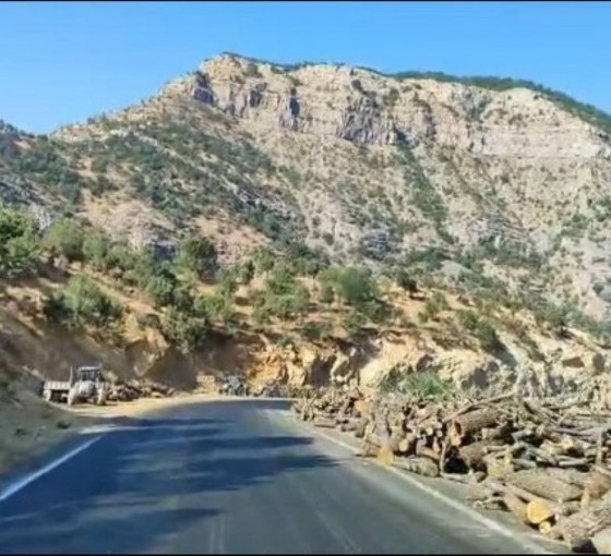 Gabar'da ağaç kıyımı sürüyor: 'Gölgesinde oturacak ağaç bırakmadılar'