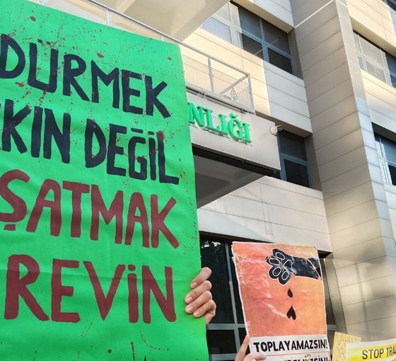 'Katliam yasası' yürürlüğe girdi: Belediyelerin sorumlulukları başlıyor
