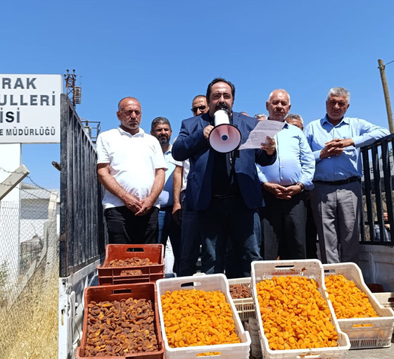CHP Malatya İl Başkanından kayısı fiyatı protestosu: Toprak Mahsulleri Ofisi önünde megafonla kayısı sattı