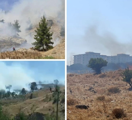 İzmir, Maraş ve Denizli'de orman yangınları: Foça'da lojman tahliye edildi