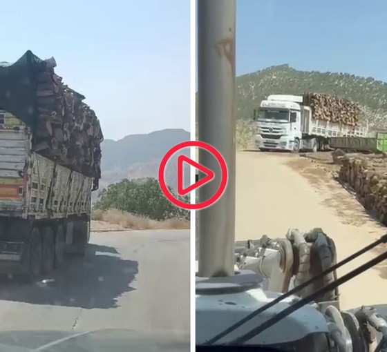 Gabar’daki orman kıyımının yeni görüntüsü ortaya çıktı
