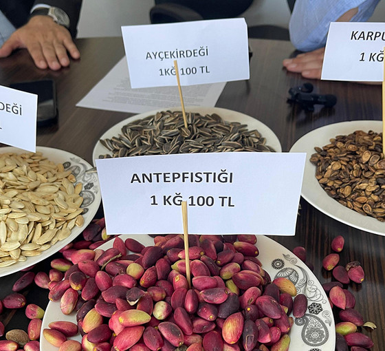 Antep fıstığı için 'taban fiyat açıklansın' çağrısı: 'Fiyatları üç beş tüccar belirliyor'