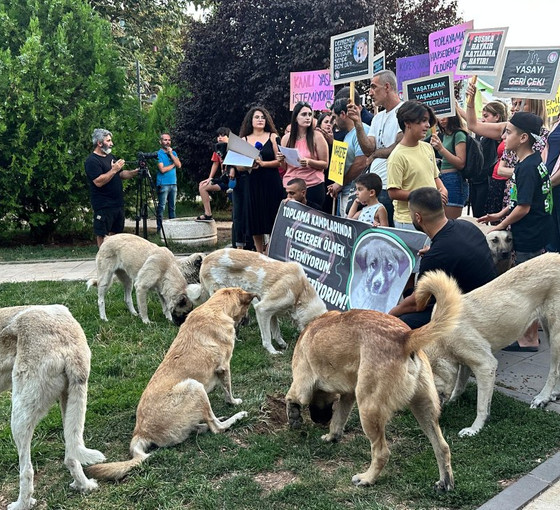 Dersim'de 'katliam yasası'na karşı açıklamaya köpekler de katıldı: 'Dokuz belediye de yasayı uygulamayacak'