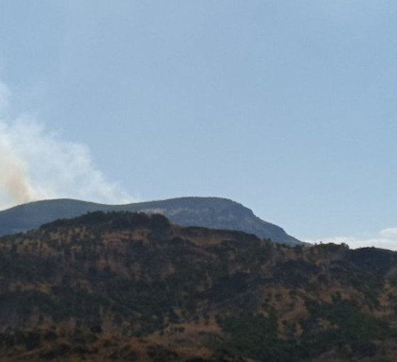 Dersim'de orman yangını