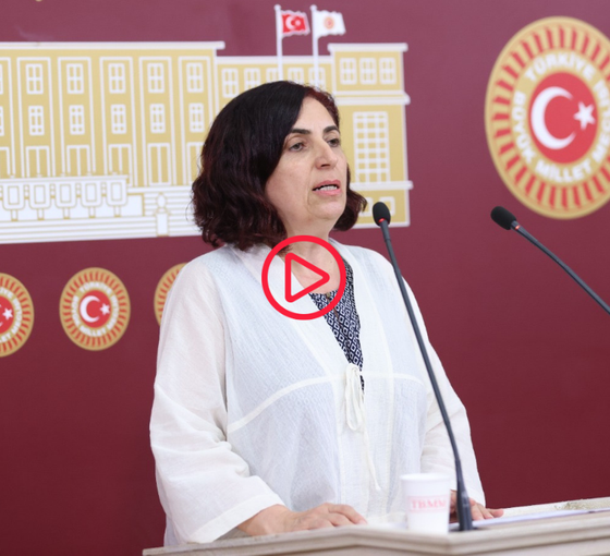 DEM Partili Çelenk’ten Instagram tepkisi: AKP baş aşağı gittiği bir dönemde, Instagram yasağı ile baltayı taşa vurdu!