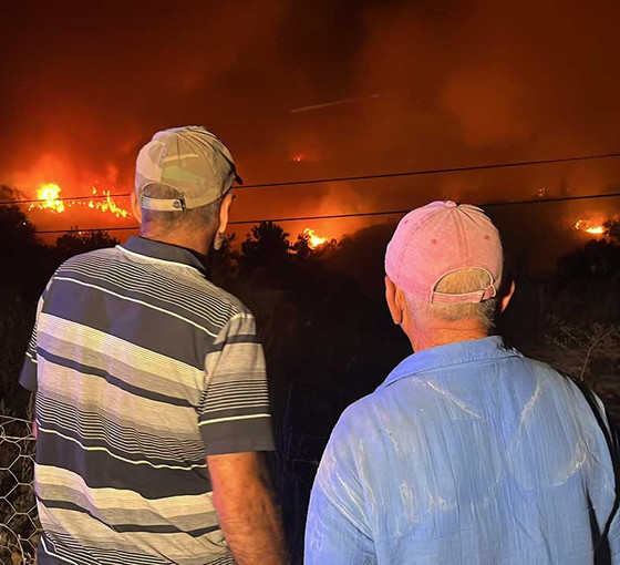 Muğla'da orman yangını: 'Maalesef bölgede çok büyük kayıp var'