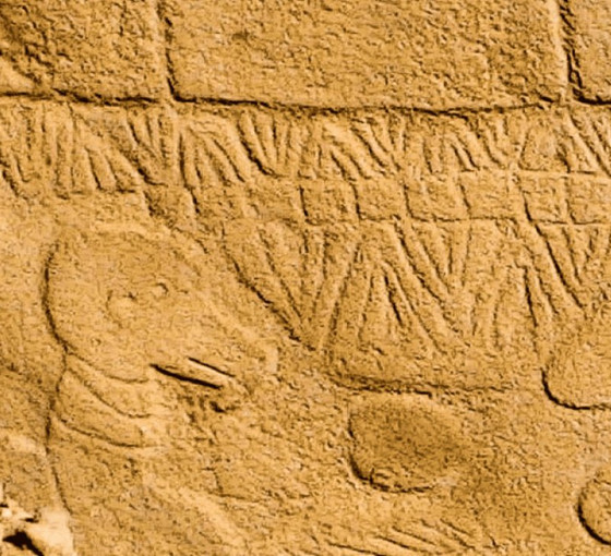 Göbeklitepe’de araştırmacılar, dünyanın en eski güneş takvimine ulaşmış olabilir