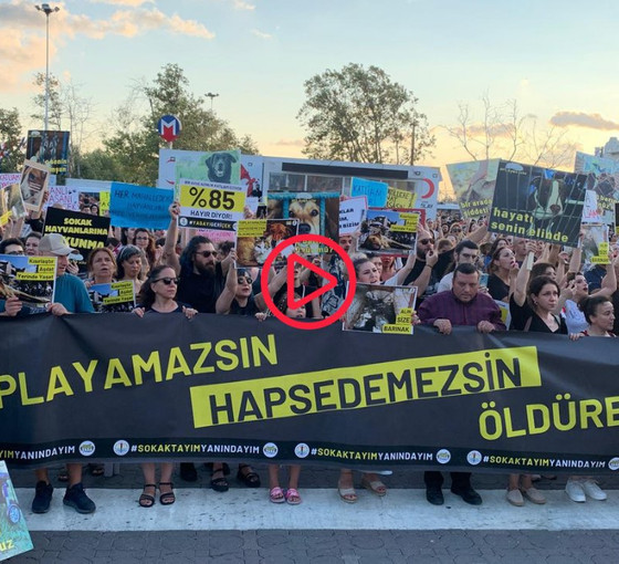 Yaşam hakkı savunucuları 29 Eylül’de miting yapacak: ‘Bu sese kulak verseniz iyi edersiniz’