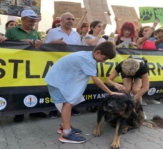 Çuval içinde ölü bulunan köpekler hakkında Uzunköprü Belediyesi'nden açıklama
