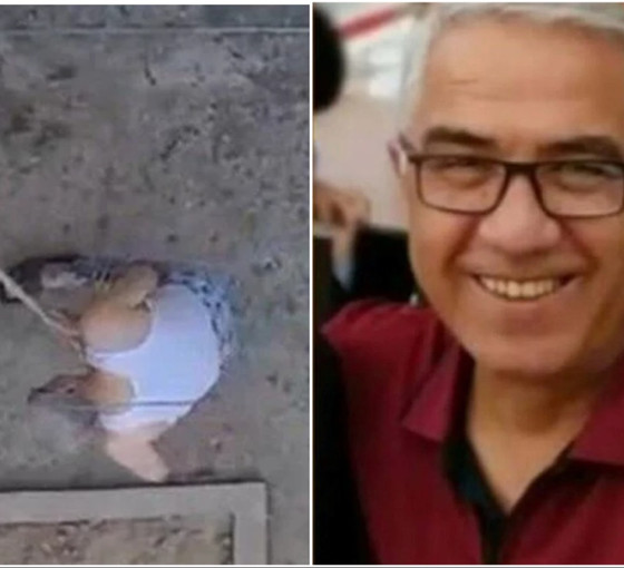 Manisa'da yavru kedileri sopayla öldüren Muzaffer Şen tutuklandı