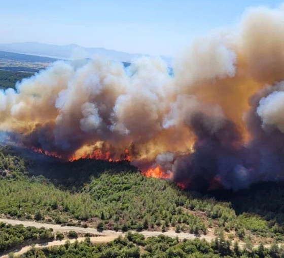 Bolu, Manisa ve İzmir'de orman yangınları