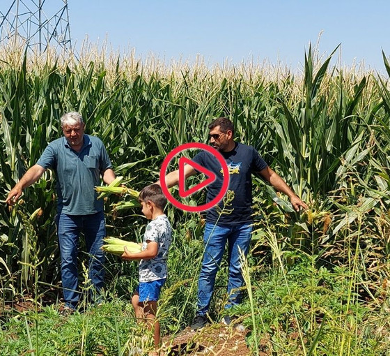 Diyarbakır Yenişehir Ziraat Odası Başkanı İskenderoğlu: 'Bakan konuşunca kendimi başka bir ülkede yaşıyor sanıyorum'