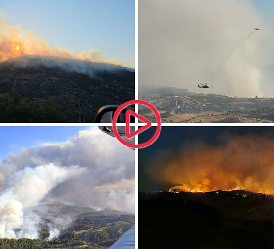 Aydın, Manisa ve Bolu'da orman yangınları
