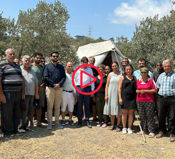 Depremzede Çiğdem Arslan geriye kalan sekiz zeytin ağacı için direniyor: 'Buradan çıkarsam yaşayamam'