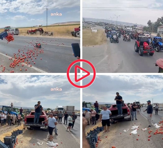Maraş'ta çiftçiler eylemde: Ellerinde kalan domatesleri traktörlerle kapattıkları yola döktüler