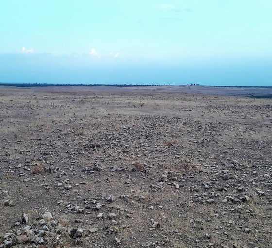 Urfa'da 80 yıllık mera alanı da TOKİ'ye devredilmiş