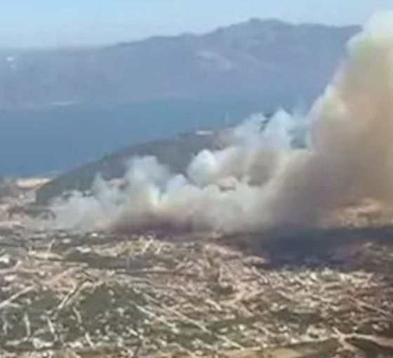 Didim yangınıyla ilgili üç tutuklama