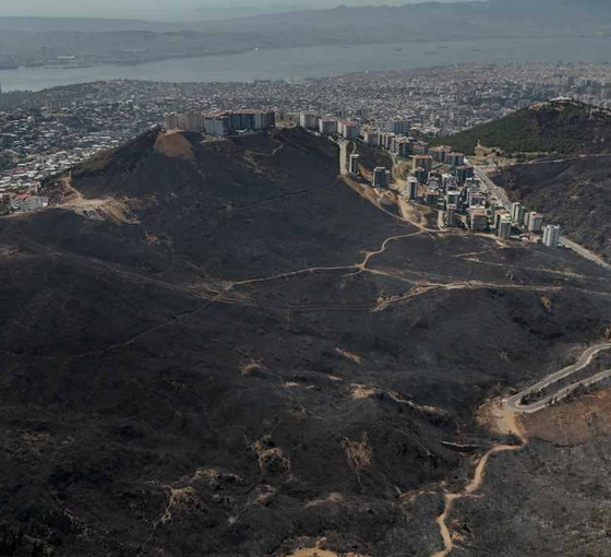 Ege'de yeşil alanlar yerini griye bıraktı: Yanan ormanlar havadan görüntülendi