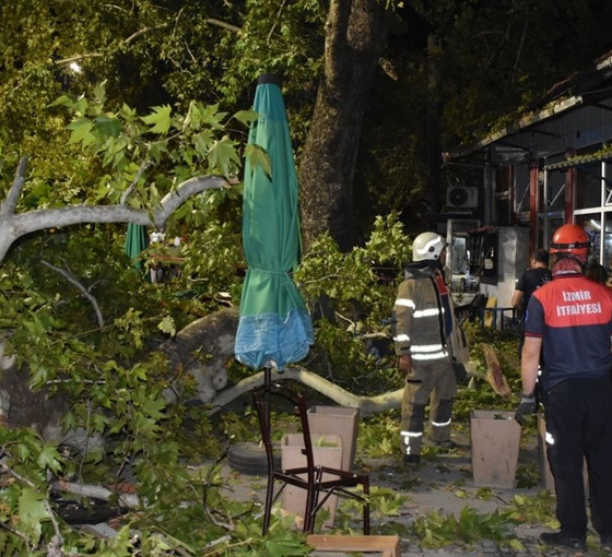 Kemalpaşa'da asırlık çınar ağacı kahvehaneye düştü: İkisi ağır dokuz yaralı