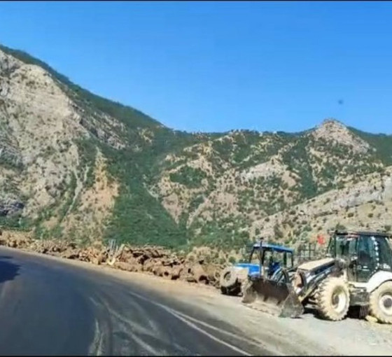 Doğa talanı dört yıldır sürüyor: 'Şırnak'ı yalnız bırakmayın'