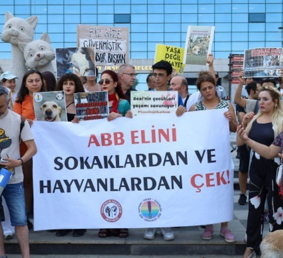 Hak savunucularından Mansur Yavaş'a tepki: 'Halkın belediye başkanı mısınız yoksa hayvan katillerinin mi?'