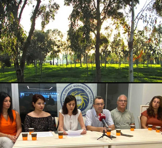 İnciraltı’nın SİT derecesinin düşürülmesine TMMOB'den tepki: Körfez Geçiş Projesi'ne hazırlık