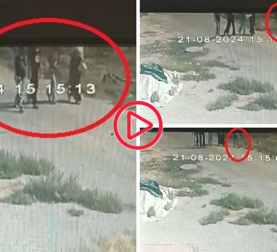 Diyarbakır'da kayıp 8 yaşındaki Narin için arama çalışmaları ikinci gününde: Son görüntüleri ortaya çıktı