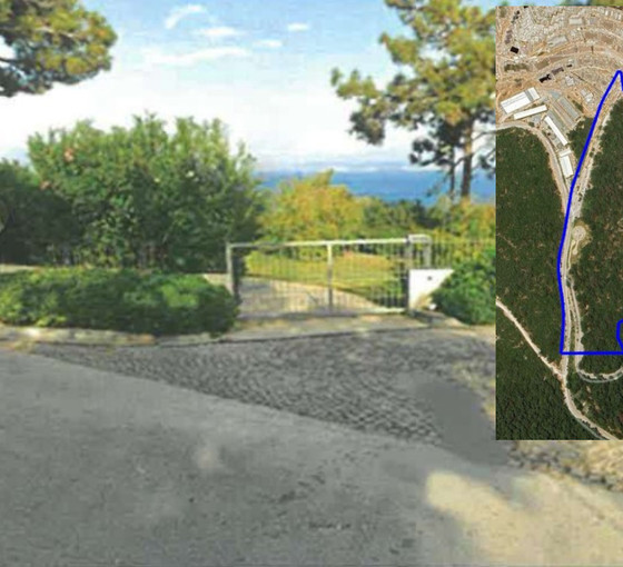 Bodrum'da 76 bin metrekare orman turizm alanına çevrildi