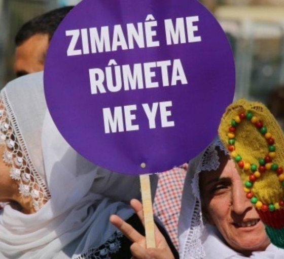 Türkçenin fail dili haline gelmesi üzerine
