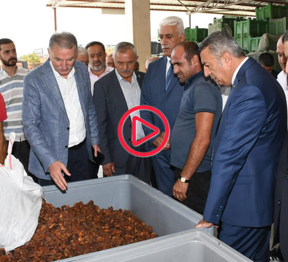 Kayısıda fiyat krizi: TMO Genel Müdürü, üreticinin beklentisine kapıyı kapattı