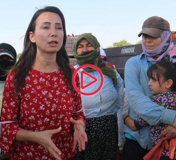 Hatimoğulları mevsimlik tarım işçileriyle buluştu: '14 yaşındaki çocuk tarlada çalışıyorsa adaletten bahsedemeyiz'