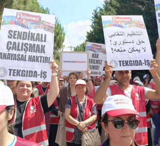 Bakanlık'tan Polonez işçileri için rapor: İşverene para cezası ve suç duyurusu