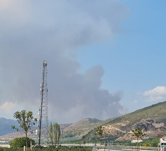 İznik'te çıkan orman yangını kontrol altına alındı