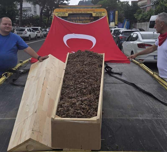 CHP'li Adıgüzel'in fındık yürüyüşü üçüncü gününde: 'Hükümet fındığı tabuta koydu'