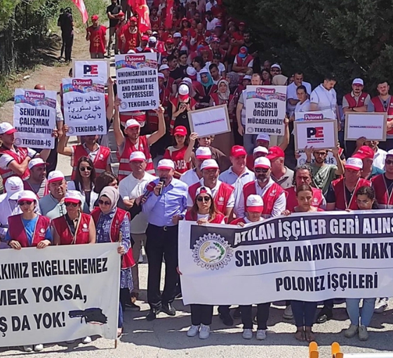 Mali Krizin İşçilere ve Doğaya Yansıması
