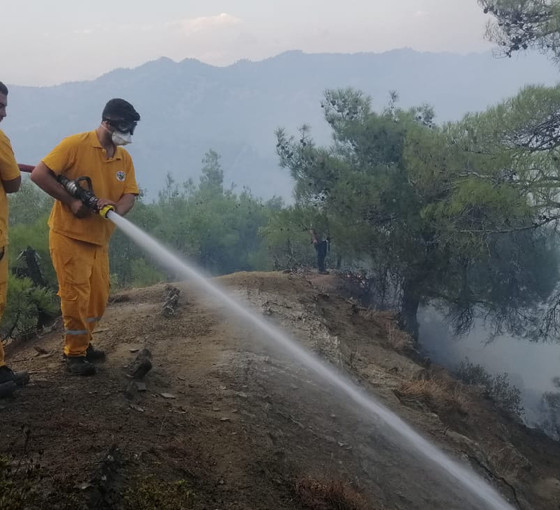 Maraş'ta orman yangını: Müdahale ediliyor