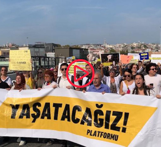 İstanbul’da ‘katliama hayır’ mitingi: Yasayı geri çek