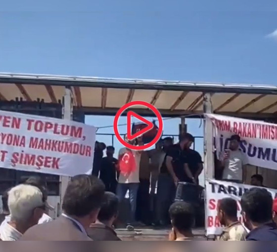 Ereğli’de domates çiftçisi isyan etti