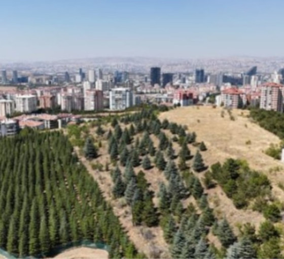 Atatürk Orman Çiftliği'ndeki 'Dışişleri Ormanı' satılık: 12 katlı konut ve AVM planı