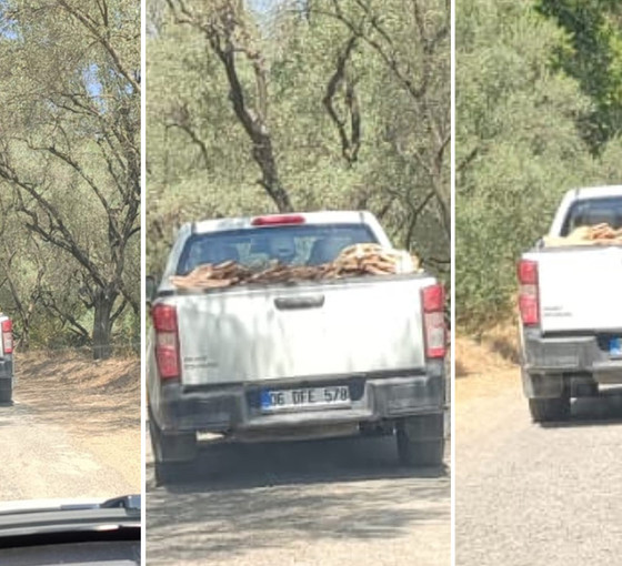 Muğla’da 'tarihi kıyım' iddiası: Antik pithos mezarları pikapla taşındı