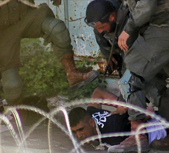 İsrail'in Megiddo Hapishanesi'de esirlere köpekli işkence: 'Filistinlilere karşı nefret ve sadizmin göstergesi'