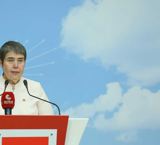 CHP'li Şahbaz: Batı Nil virüsü nedeniyle hastaneye yatan onlarca ciddi vaka var