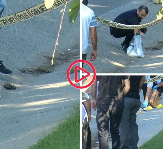 Beykoz'da TEM Otoyolu kenarında iki el bombası bulundu