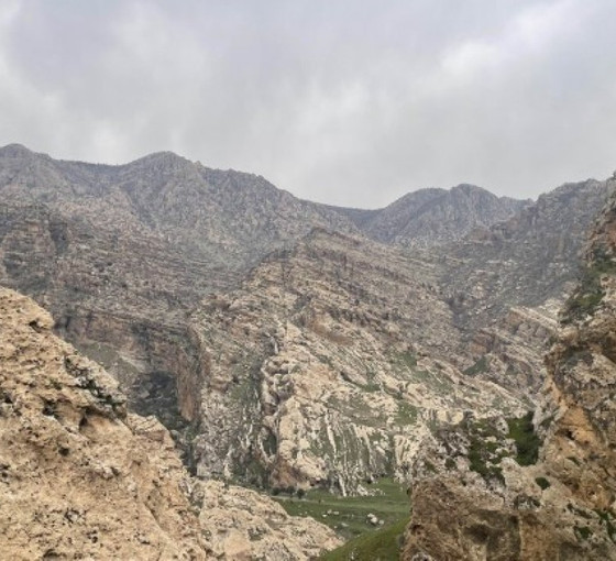 Şırnak'ta birçok yer 'geçici özel güvenlik bölgesi' ilan edildi