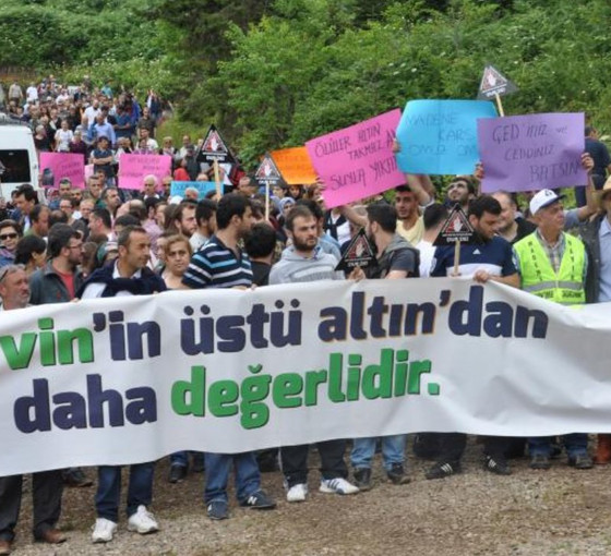 Cerattepe'de Cengiz Holding'e karşı 31 yıllık ekoloji mücadelesi: 'Sadece Artvin değil ülke meselesi'