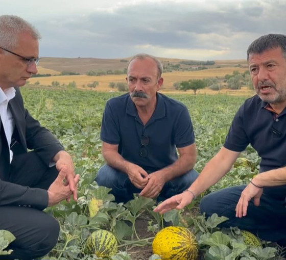 Malatya’da para etmeyen kavun tarlada kaldı: '3 liraya alıcı bulamıyoruz'
