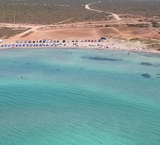 Didim Manastır koyu için sevindiren karar: Plan Danıştay’dan döndü