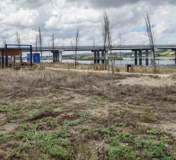 İsraf bahçesi: Edirne'de 'millet bahçesi'ne harcanan 29 milyon TL çöpe gitti