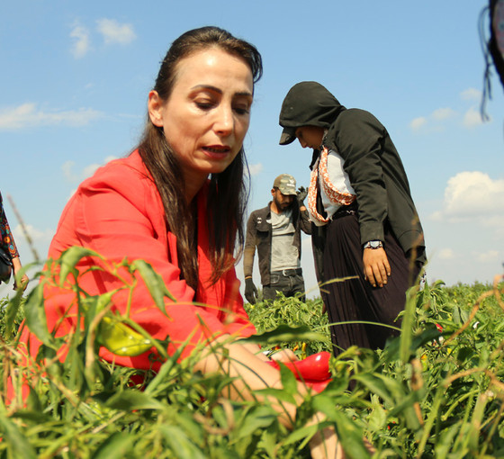 Hatimoğulları: İnsanlar evlerine ekmek götüremiyor